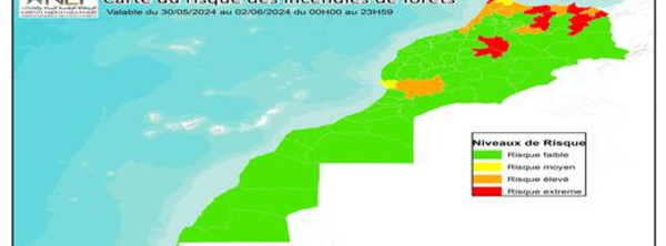 المياه والغابات تحذر.. الناظور والحسيمة والدريوش مهددة بالحرائق خلال هذا التاريخ