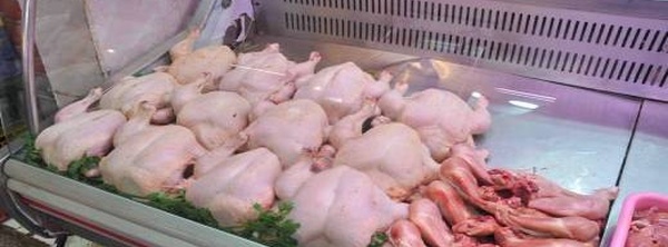 هل فعلا قامت الصين بحظر واردات الدجاج من المغرب؟ مصدر رسمي يوضح