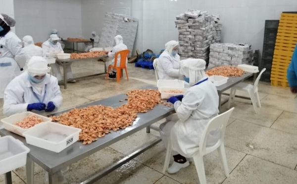 "زكامين" لتنقية القمرون بالناظور توقع شراكة إسبانية هولندية