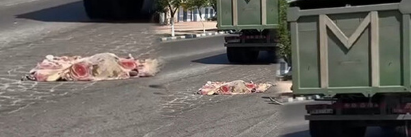 أثناء محاولته الهجرة.. شاب يسقط من شاحنة ويلقى حتفه في بني أنصار
