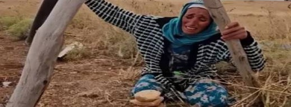 محامي عائلة "محمد إينو" يعلن عن تطورات جديدة في ملف "القتل العمد ضد مجهول"