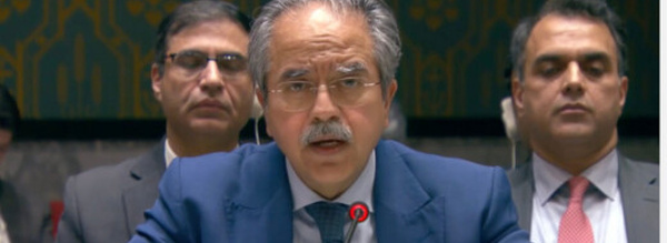 سفير باكستان في الرباط: امتناع بلادنا عن التصويت هو دعم للحكم الذاتي