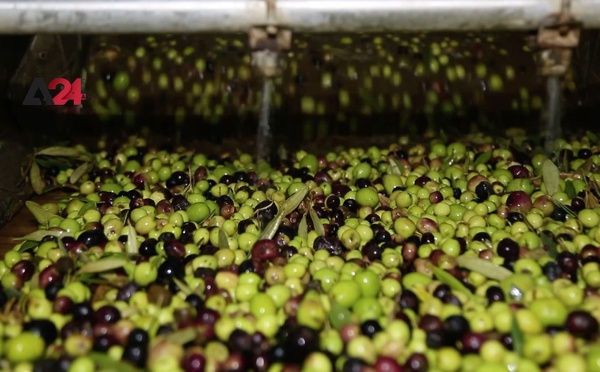 زيت مسموم في أسواق الناظور.. مطاحن تتلاعب بصحة المواطنين وسط غياب الرقابة