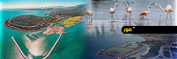 اجتماع استراتيجي لتعزيز حماية البيئة واستعادة النظم الإيكولوجية لبحيرة مارشيكا