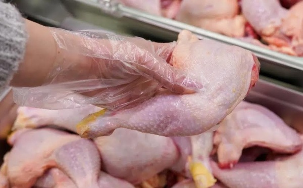 أوروبا تفتح أبواب أسواقها لدواجن المغرب وإسبانيا تصف القرار بـ"الطعنة"