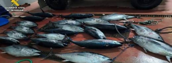 عملية تفتيش في مضيق جبل طارق تكشف 21 سمكة دون وثائق قانونية