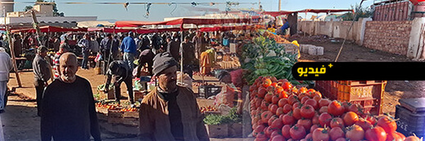 أسعار الخضر واللحوم والفواكه تشهد ارتفاعاً ملحوظاً بسوق أركمان الأسبوعي