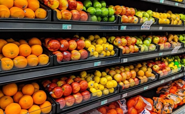 المغرب يتصدر سوق الخضر والفواكه بإسبانيا ويرفع صادراته إلى مستويات قياسية في 2025