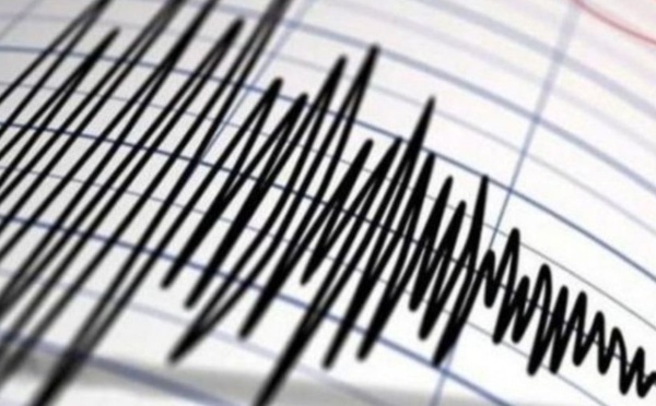 هزتان أرضيتان تُسجَّلان في الجزائر صباح الخميس