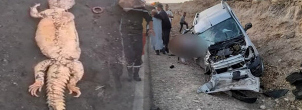 الحسيمة.. عمل شعوذة داخل سيارة يرجح أن يكون سبب حادثة سير سابقة