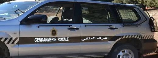 الدرك الملكي بالحسيمة يحجز 130 غراما من الكوكايين وسيارات بلوحات مزورة