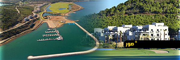 مارشيكا ميد: ديناميكية التحول المؤكدة والمدعومة بمؤشرات إيجابية