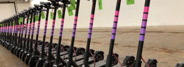 وسط غياب بنية تحتية خاصة.. المغرب يفرض قوانين صارمة على التروتينيت