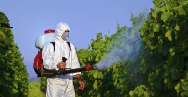 رغم الحظر الداخلي… أوروبا تصدر 122 ألف طن من المبيدات الخطرة عام 2024 والمغرب في الصدارة