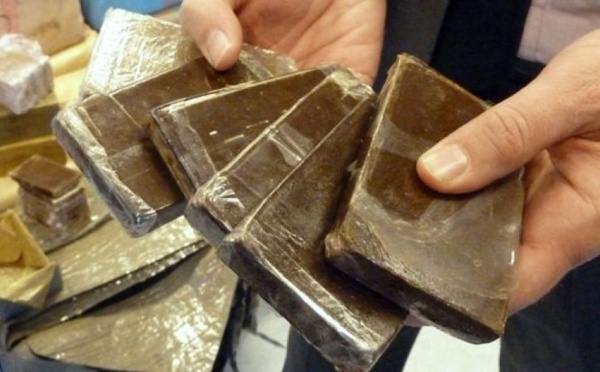 الأمن يحبط محاولة تهريب شحنة حشيش عبر شركة للإرساليات الدولية