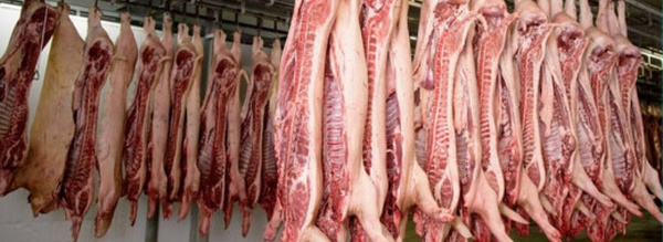 أسعار اللحوم الحمراء تتخطى 120 درهماً.. ووزير الفلاحة يستعرض أمام النواب