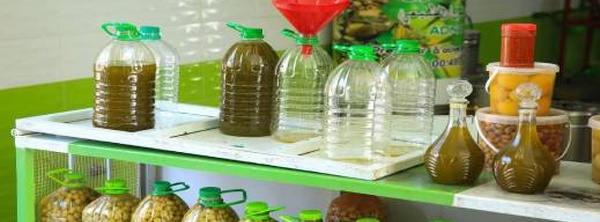 سعر زيت الزيتون يتراجع بنحو 60% ويلامس عتبة 50 درهما للتر