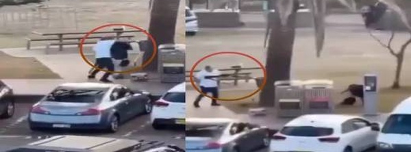 هجوم دموي يهز أستراليا: 12 قتيلا وجرح ضابطي شرطة في إطلاق نار مروع