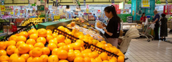 المغرب يحقق قفزة غير مسبوقة في صادرات الماندرين والكلمنتين إلى ألمانيا