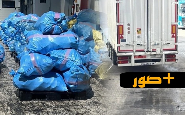 استنفار بـ"طنجة المتوسط".. تنسيق أمني محكم ينهي مغامرة تهريب 8 أطنان نحو أوروبا