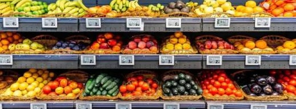 بسبب المغرب.. مزارعو إسبانيا يتهمون بروكسيل بـ "خيانة" السيادة الغذائية الأوروبية