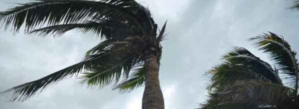 نشرة إنذارية: هبات رياح قوية مرتقبة الجمعة بعدد من مناطق المملكة