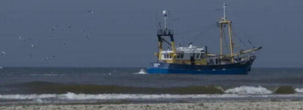 بعد القرار الأممي.. أسطول الصيد الروسي يتهيأ للعمل في مياه الصحراء المغربية