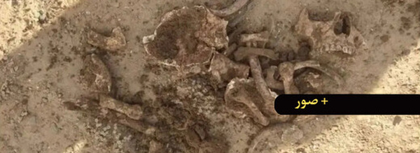 العثور على بقايا عظام بشرية أثناء حرث أرض فلاحية يستنفر السلطات