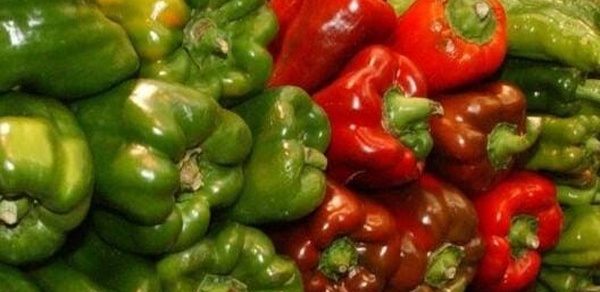 صادرات الفلفل المغربي تكتسح السوق الألمانية وتحقق عائدات مالية ضخمة