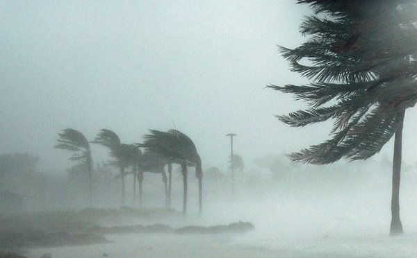 نشرة إنذارية تحذر من رياح عاتية تضرب الناظور والدريوش ابتداء من غد الثلاثاء 