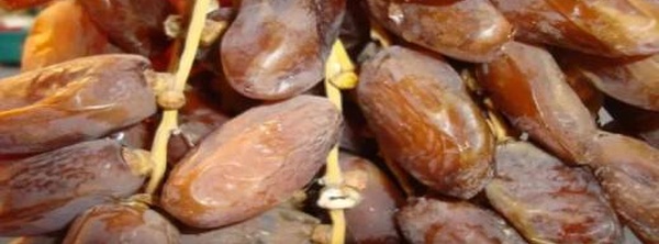 15 ألف طن عالقة في الميناء.. تمور تونس في مأزق بسبب قيود مغربية صارمة