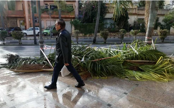 وفاة امرأة من أصول مغربية إثر سقوط نخلة عليها في إسبانيا بسبب العاصفة "جوزيف"