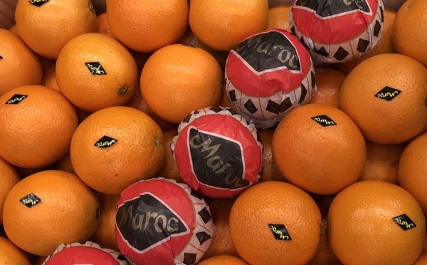 أوروبا تشرع دخول منتجات مغربية من الصحراء رغم اعتراضات إسبانية