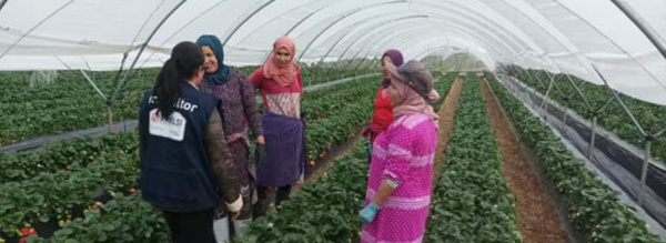 التقلبات الجوية تعطل سفر العاملات المغربيات الموسميات لإسبانيا