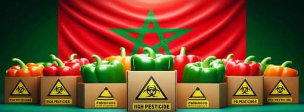 اتهامات إسبانية متكررة تطارد الفلاحة المغربية.. هل هي حرب اقتصادية مقنعة؟