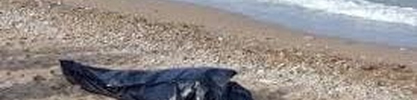 البحر يلفظ جثة مجهولة الهوية في مرحلة متقدمة من التحلل
