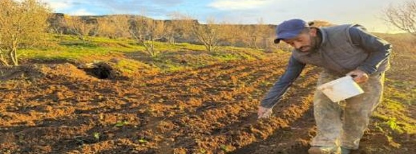 الناظور في صدارة التساقطات بالجهة الشرقية: أرقام تنهي جفاف 9 سنوات بالمنطقة