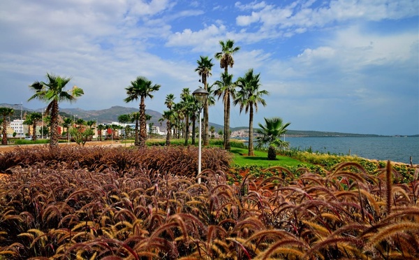 مارشيكا تسرع وتيرة التحول الحضري بالناظور وتطلق مشاريع كبرى