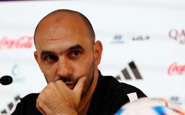 الجامعة تحسم قرارها وتُنهي مشوار الركراكي مع الأسود