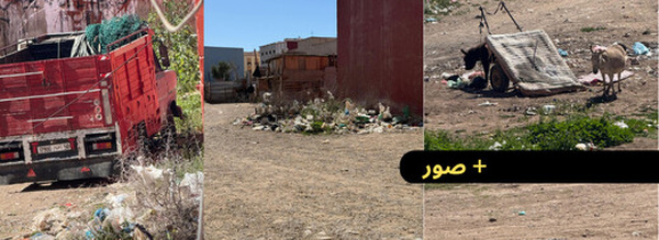 فوضى ودواب ونفايات بحي أولاد بوطيب ومواطنون يناشدون السلطات ويطالبونها بالتدخل 