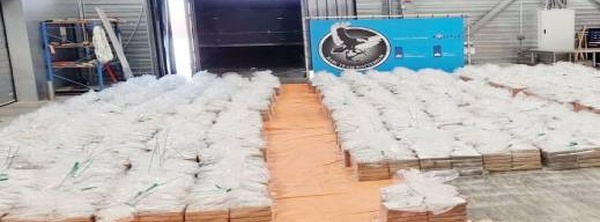 19 مداهمة و11 موقوفا.. تفكيك شبكة إجرامية بعد ضبط شحنة ضخمة من الكوكايين في روتردام