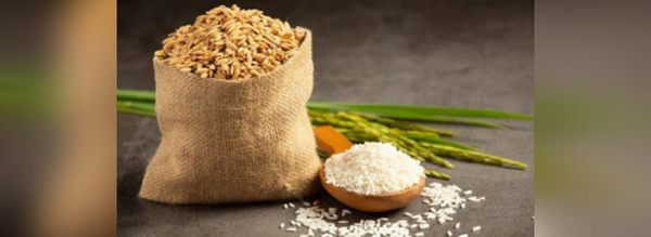 المجلس العلمي الأعلى يحدد مقدار وقيمة زكاة الفطر لسنة 1446 هـ