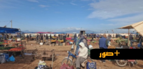بين الخضر والفواكه واللحوم.. جولة ميدانية تكشف واقع الأسعار بأسواق الناظور
