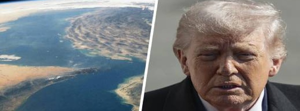 دونالد ترامب يطالب 7 دول بحماية مضيق هرمز ويؤكد استغناء أمريكا عن نفط المنطقة