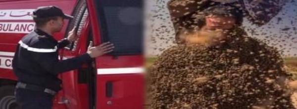 أسراب نحل تودي بحياة فلاح داخل ضيعته