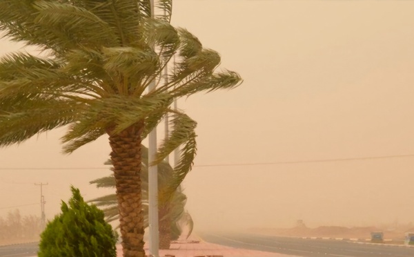 نشرة برتقالية تحذر من رياح قوية وغبار  بالمملكة يوم الإثنين المقبل