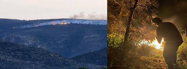 ألسنة اللهب تلتهم الغابات بالدريوش.. هل كانت “نزهة” وراء الحريق؟