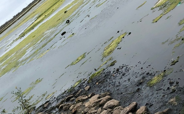 طحالب ونفايات ببحيرة مارتشيكا تقلق فعاليات مدنية والأنظار تتجه صوب وكالة التهيئة