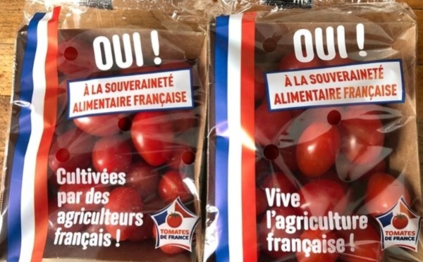 حرب الطماطم تشتعل بفرنسا.. حملة لمواجهة المنافسة المغربية رغم فارق الأسعار