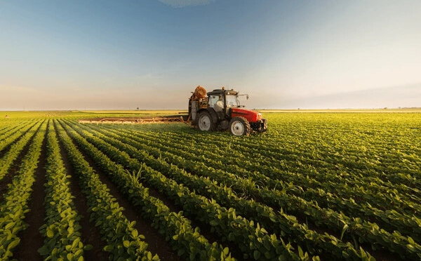 المغرب ضمن برنامج أمريكي بـ226 مليون دولار لدعم القطاع الفلاحي